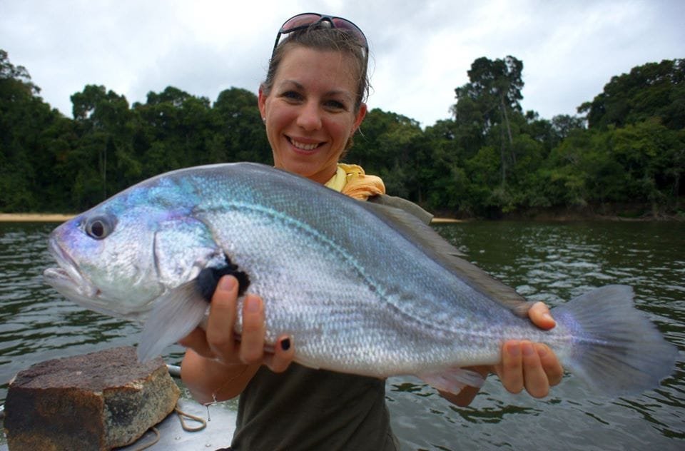 A close-up view of a drum fish in its natural aquatic habitat.