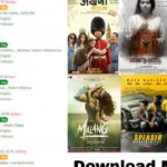 Filmyzilla1 platform offering free movie downloads and the latest entertainment options for movie enthusiasts.