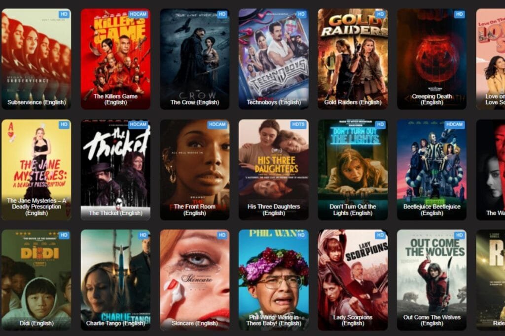 A detailed view of 0gomovies' streaming platform showcasing movies and user interface.