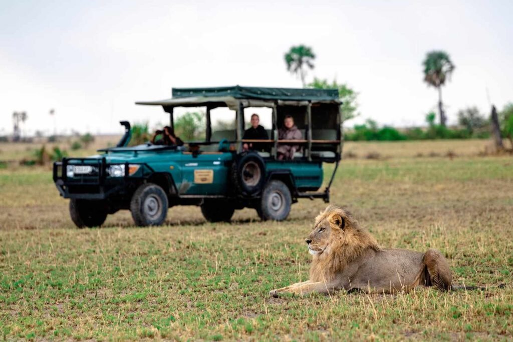 6 Tips for Planning a Perfect Luxury Safari Experience