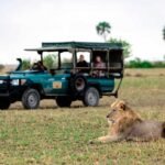 6 Tips for Planning a Perfect Luxury Safari Experience