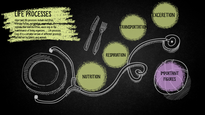 life process ppt