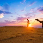 Exploring Jaisalmer’s Desert: Which Camel Safari Adventure Fits You Best?
