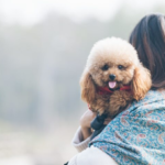 Helping Your Rescue Pet Adjust to a New Home